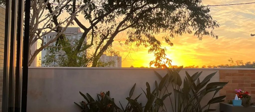 IMG_20230912_131215_640